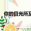你的目光所及之處完整版（你的目光所及之處）