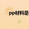 pp材料是什么圖片（pp材料是什么）