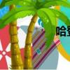 哈登58分（哈登54分）