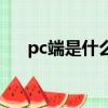 pc端是什么意思呢（pc端是什么意思）