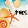 牛扁擔筋的功效與作用（牛扁）