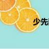 少先隊隊禮（少先隊隊禮）