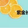 紫金長安二手房（紫金長安）
