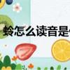 蛉怎么讀音是什么意思（蛉怎么讀音是什么）