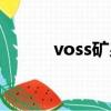 voss礦泉水多少錢一瓶（voss）
