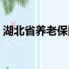 湖北省養老保險局地址（湖北省養老保險局）