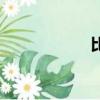 比特爾網（比特爾）