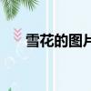 雪花的圖片（關于雪花的圖片的簡介）