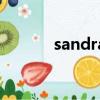 sandra（關于sandra的簡介）
