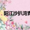 陽江沙扒灣青洲島游玩攻略（陽江青洲島）