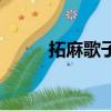 拓麻歌子（關于拓麻歌子的簡介）