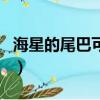 海星的尾巴可以再生（海星的尾巴可以再生嗎）
