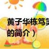 黃子華棟篤笑2011（關于黃子華棟篤笑2011的簡介）