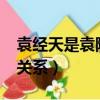 袁經天是袁隆平兒子嗎?（袁經天和袁隆平的關系）