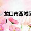 龍口市西城區停車場項目（龍口市西城區郵編）