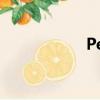 Perfect（歌詞介紹）