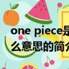 one piece是什么意思（關于one piece是什么意思的簡介）