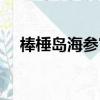 棒棰島海參官方旗艦店（棒棰島怎么去）
