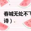 春城無處不飛花什么節日（春城無處不飛花全詩）