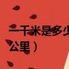 一千米是多少公里等于多少里（一千米是多少公里）