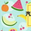 汽油泵價格（汽油泵）