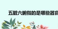 五臟六腑指的是哪些器官(五臟六腑)