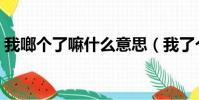 我啷個了嘛什么意思(我了個去是什么意思)