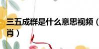 三五成群是什么意思視頻(三五成群是什么生肖)
