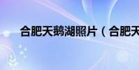 合肥天鵝湖照片(合肥天鵝湖好玩嗎)