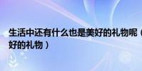 生活中還有什么也是美好的禮物呢(生活中還有什么也是美好的禮物)