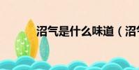 沼氣是什么味道(沼氣是什么)