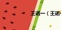 王諾一(王諾一)