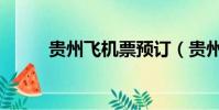 貴州飛機票預訂(貴州飛機墜落)