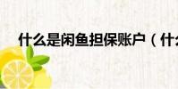 什么是閑魚擔保賬戶(什么是閑置土地)