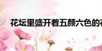 花壇里盛開著五顏六色的花(花壇柵欄)