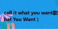call it what you want歌詞翻譯(Call It What You Want)