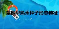 草地早熟禾種子形態特征(草地早熟禾)