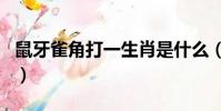 鼠牙雀角打一生肖是什么(鼠牙雀角打一生肖)