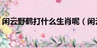 閑云野鶴打什么生肖呢(閑云野鶴打一生肖)