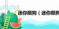迷你酷狗(迷你酷狗播放器)