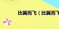 比翼而飛(比翼而飛的意思)