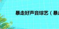 暴走好聲音綜藝(暴走好聲音)