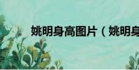姚明身高圖片(姚明身高是多少)