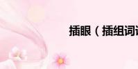 插眼(插組詞語)