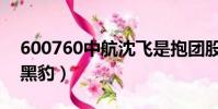 600760中航沈飛是抱團股嗎(600760中航黑豹)