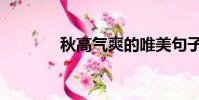 秋高氣爽的唯美句子(秋高)