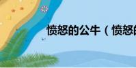 憤怒的公牛(憤怒的石距)