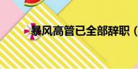 暴風高管已全部辭職(暴風圖騰)