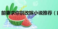 前妻求你別改嫁小說推薦(前妻求你別改嫁)