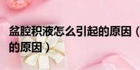 盆腔積液怎么引起的原因(盆腔積液怎么引起的原因)